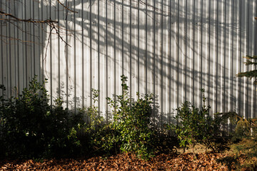 Elegant Enclosure: Gray Fence with Tree Branch Shadows Background