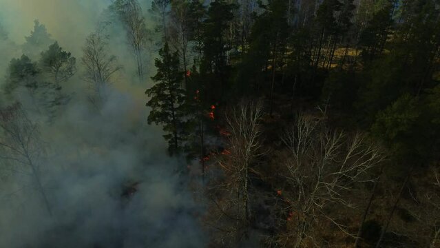 Waldbrand Feuer Schweden Brand Drohne Flug