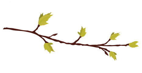Branch with young leaf sprouts vector stock illustration. Shoots of trees with fresh green foliage. Spring landscape. Isolated on a white background. - obrazy, fototapety, plakaty