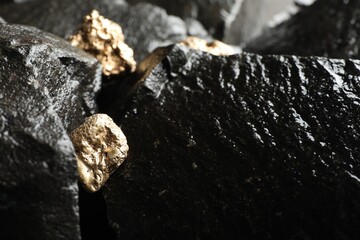 Shiny gold nuggets on wet stones, closeup