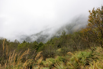 Foggy mist over the mountain