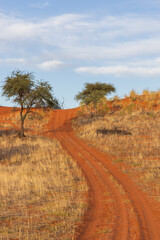 Safari Weg in Afrika, Offroad Sandweg in der Kalahari