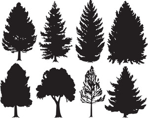 Set Trees. Hand drawn vector illustration	