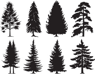 Set Trees. Hand drawn vector illustration	