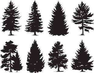 Obraz premium Set Trees. Hand drawn vector illustration 