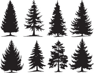 Set Trees. Hand drawn vector illustration	