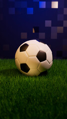 Soccer ball on the grass