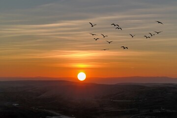 sunset over the river. Birds flying at sunset. Symbol of freedom 