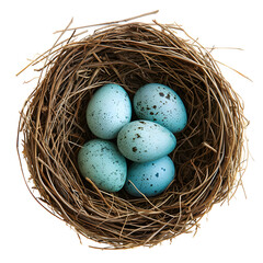 Naklejka na ściany i meble Robin's nest with eggs isolated on white background, simple style, png 