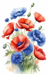 Poppies and cornflowers on a white background. Watercolor red poppy flowers and blue cornflower.