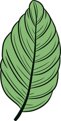 Mastering Botanical Realism Leaf Vector TechniquesArtistic Rendering of Leaves Exploring Vector Illustration