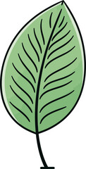 Natures Tapestry Beautiful Leaf Vector IllustrationsSerene Flora Calming Leaf Vector Elements