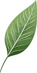 Tropical Fantasy Exotic Leaf Vector ArtLeafy Flourish Detailed Leaf Vector Illustrations