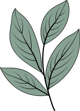 Symphonic Botany Harmonized Leaf Vector CompositionsVivid Foliage Colorful Leaf Vector Art