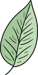 Vectorized Nature Detailed Leaf Illustrations for DesignSurreal Foliage Dreamy Leaf Vector Concepts