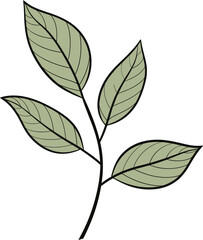 Botanical Impressions Detailed Leaf Vector NarrativesArtistic Fusion Creative Leaf Vector Narratives
