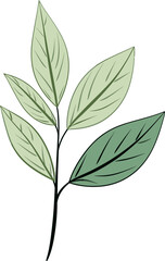 Seasonal Transitions Dynamic Leaf Vector ProgressionsAbstract Botanicals Geometric Leaf Vector Patterns