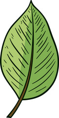 Tropical Serenade Exotic Leaf Vector NarrativesBotanical Impressions Detailed Leaf Vector Narratives
