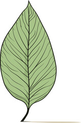 Natures Poetry Expressive Leaf Vector NarrativesTropical Reverie Exotic Leaf Vector Narratives