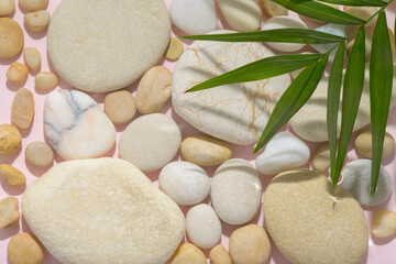palm leaf, white stones with sun lights shadow in water, beautiful spa background concept banner for cosmetic body care product
