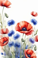 Poppies and cornflowers on a white background. Watercolor red poppy flowers and blue cornflower.