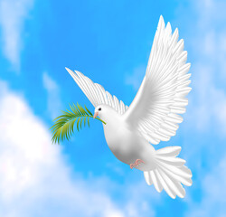 White dove illustration in realistic design