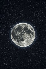 Full moon in the starry sky