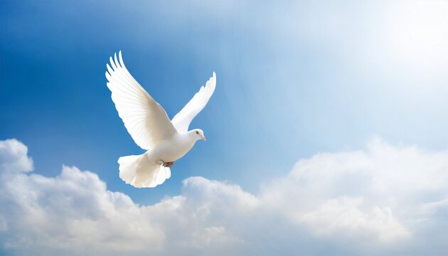 sky funeral background with white dove copy space for text