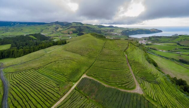 view from above of the cha gorreana tea plantation in sao miguel azores portugal captured by a drone