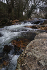 Naklejka premium river, stream, rushing, water, nature, plants, trees, stones, cl