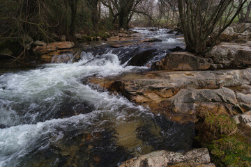 river, stream, rushing, water, nature, plants, trees, stones, cl