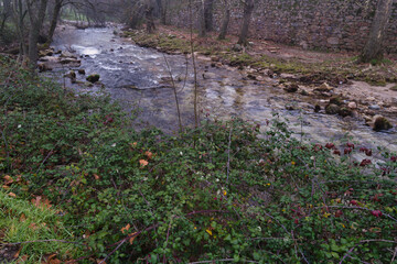 Naklejka na ściany i meble river, stream, rushing, water, nature, plants, trees, stones, cl