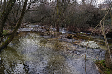 river, stream, rushing, water, nature, plants, trees, stones, cl