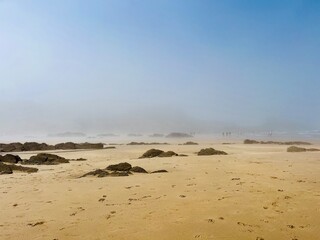 foggy ocean coast, fog at the ocean beach