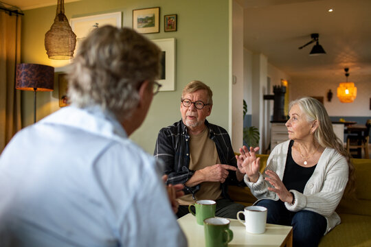 Senior couple talking to their marriage counselor at home