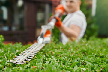 Blur background of male gardener in uniform using electric trimming machine for pruning bushes on...