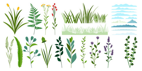 Hand drawn flat herbs and grasses set - obrazy, fototapety, plakaty