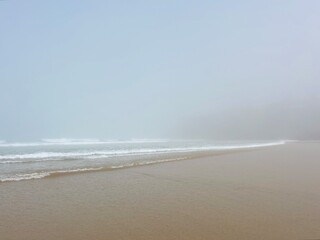 foggy ocean coast, fog at the ocean beach