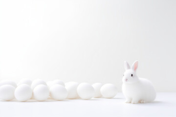 white rabbit on white