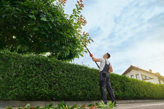 Strong caucasian man in uniform and gloves using petrol trimming machine for cutting overgrown trees outdoors. Gardener landscaping during summer time. 