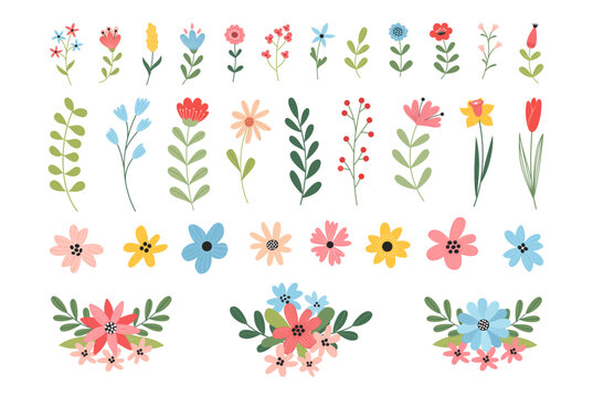 Set of beautiful spring and summer flowers, leaves, plants, floral bouquets. Vector illustration.
