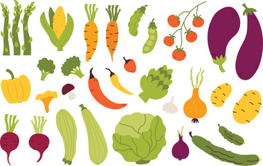 Collection of vector colorful vegetables. Farm organic vegetables. Graphic elements for design