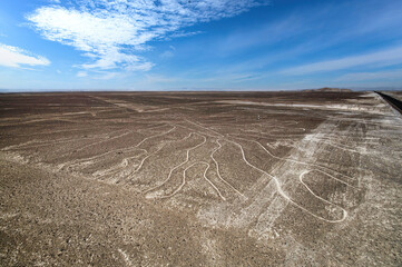 The famous Nazca Lines, Nazca desert, Peru (1)