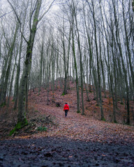 Frau mit roter Jacke bei Herbstwanderung im Wald