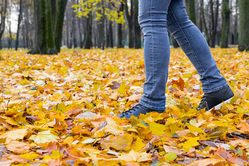 a man walks through yellow foliage in the park.