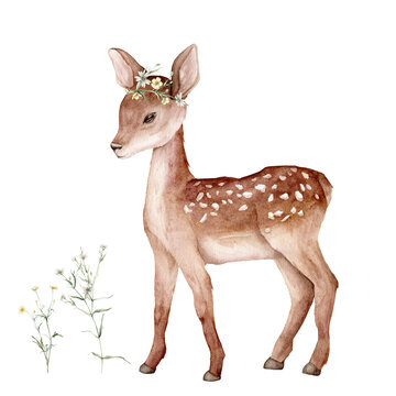 Watercolor baby deer. Spotted deer isolated on white background. Hand painted wild animal template and meadow floral bouquet for fabric. Animal for design print or background. Flowers green branches