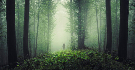 man hiking in green fantasy forest in fog