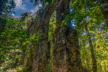 Ancient aqueduct taken over by the rainforest in the protected resort island of Ilha Grande, Rio de Janeiro state, Brazil, The island interior is a nature reserve