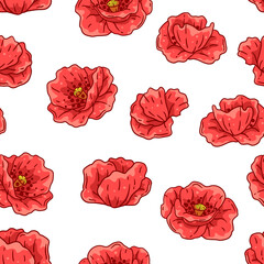 Pattern with poppies flowers. Beautiful decorative plants.