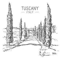 Vector sketch illustration of the road with cypress in Tuscany, Italy, Europe. Sketchy line art drawing with a pen on paper. Sketch in black color isolated on white background. Freehand drawing.